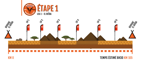 RALLY: WRC Teams' Championship 2011 ((1) infographic